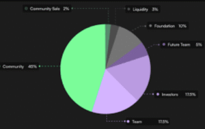 Understanding Team Token Allocations